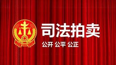 最高人民法院關于人民法院網絡司法拍賣若干問題的規(guī)定（山東）