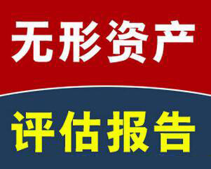明信價(jià)格評估公司的無形資產(chǎn)評估服務(wù)項(xiàng)目有哪些？